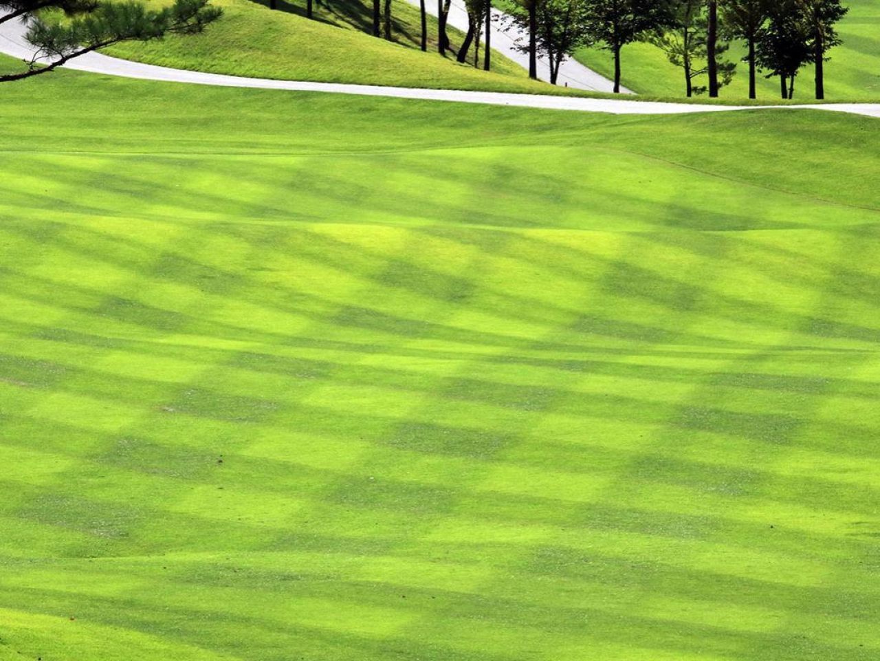 <p>Data that has been lost in the weeds — or more accurately the turfgrass — could help improve estimates of carbon dioxide emissions from urban areas, according to a team led by scientists at Penn State.</p>