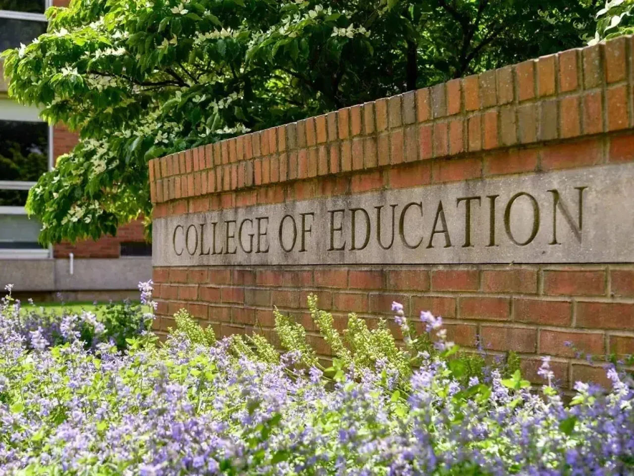College of Education