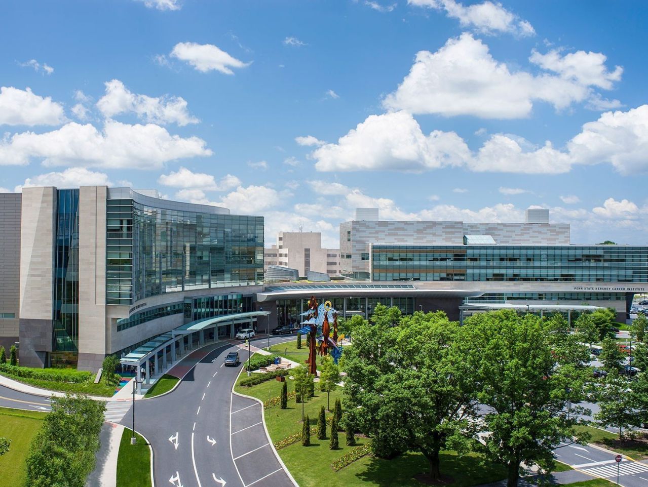 College of Medicine