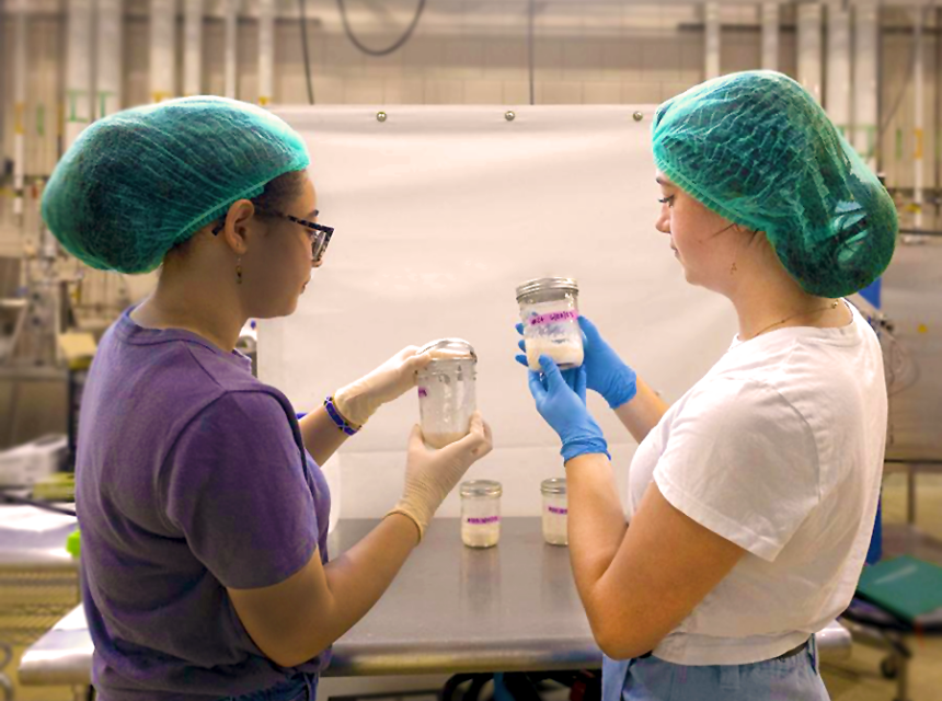 Two women with hairnets and gloves hold mason jars of cloudy sourdough fermentations.