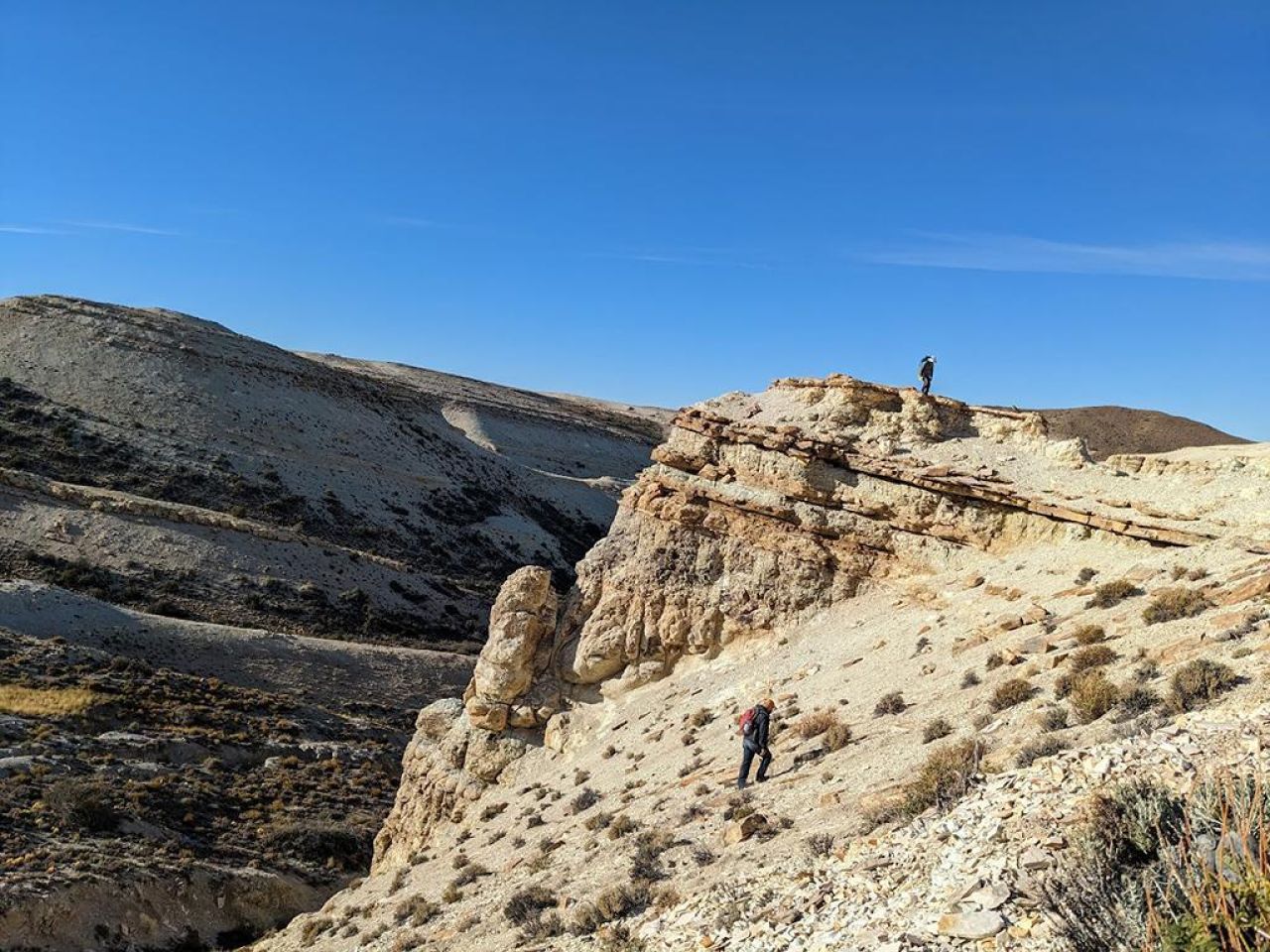<p>How far would leaf-eating insects go to dine on their favorite food? Perhaps the other side of the world, according to researchers at Penn State who found insect damage on fossil leaves from South America that is nearly identical to what is seen today on those trees’ living relatives in Australia.</p>