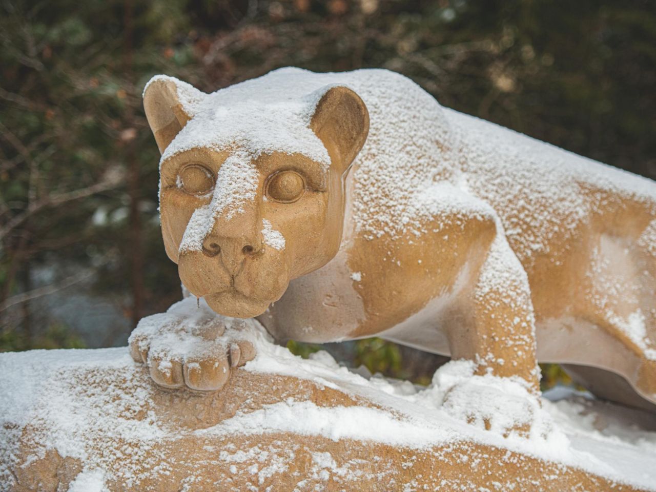 <p>Penn State instructors can now access Course Insights, a learning analytics tool developed in-house by the Data Empowered Learning team in Penn State IT. </p>
