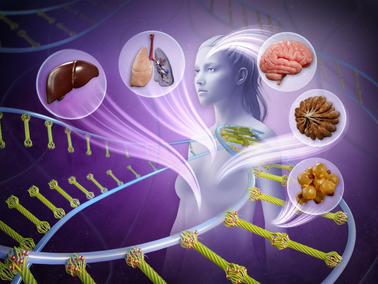 <p>Penn State engineers developed a bio-based, "living" material that mimics certain behaviors within biological tissues, a potential step forward for advance regenerative medicine, disease modeling, soft robotics and more.</p>