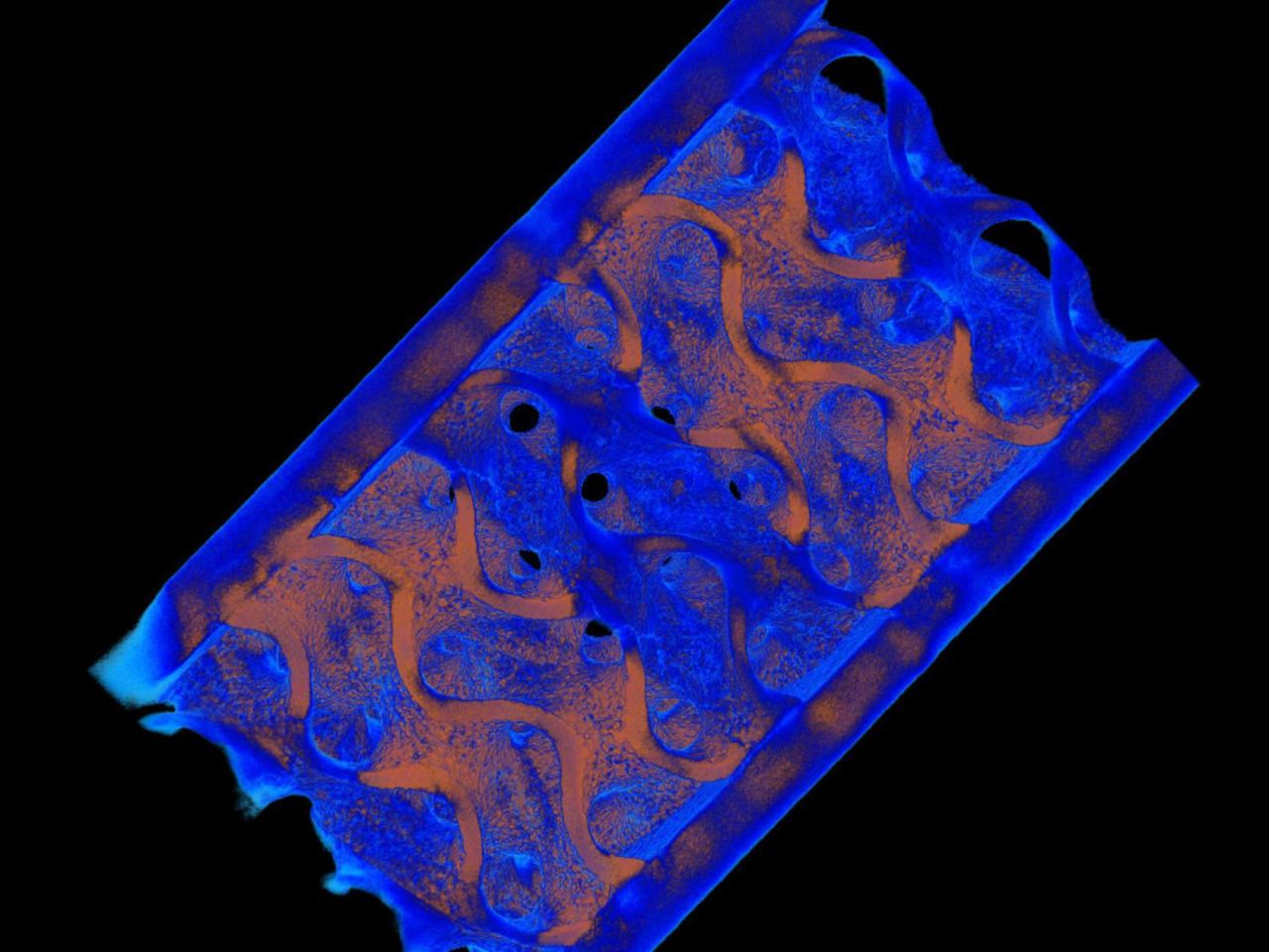 <p>A team of Penn State researchers used a new 3D-printing method to produce a complex metal build that was once only possible with welding: fusing two metals together into a single structure. </p>