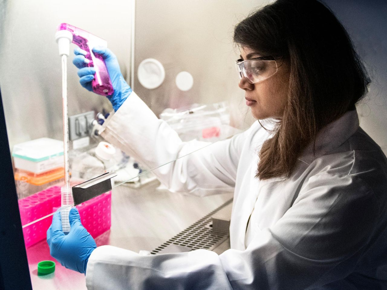 <p>The American Heart Association awarded Nivetha Gunaseelan, a doctoral candidate studying biomedical engineering in the Penn State College of Engineering, a predoctoral fellowship.</p>