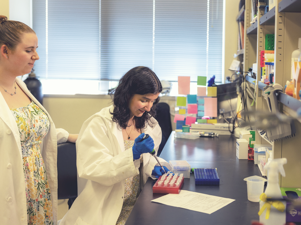 <p>A team of researchers from Penn State College of Medicine found that misfolded versions of a protein exhibit tissue-specific toxicity linked to cell degeneration that may be linked to the development of amyotrophic lateral sclerosis (ALS). The study is a step forward in understanding the physiological processes that may contribute to ALS development and progression and identifies a potential therapeutic target, the researchers said.</p>