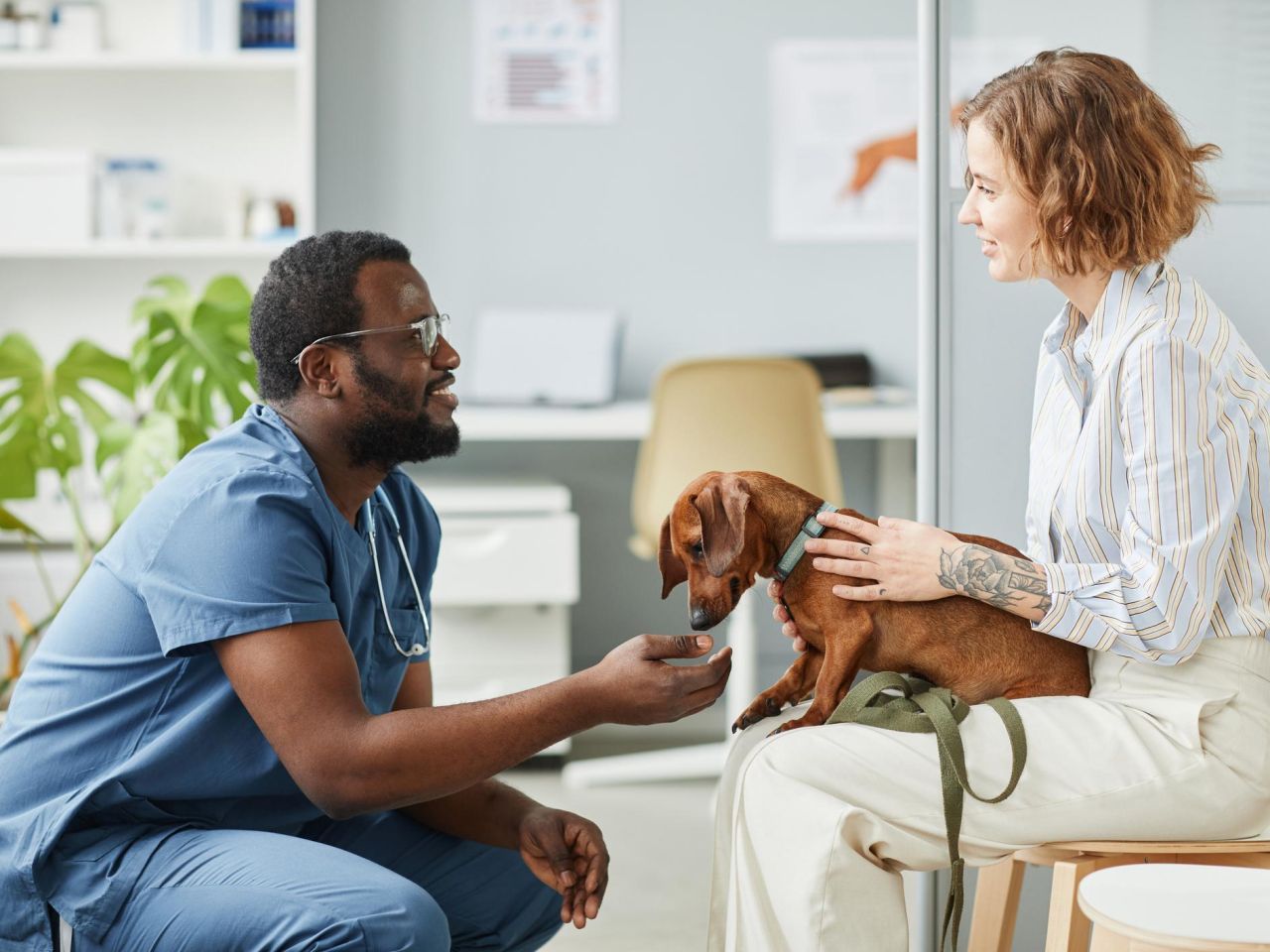 <p>A team of researchers from Penn State have found that household dogs are an overlooked transmission point for Salmonella, a pathogen that can cause diarrhea, fever and abdominal cramps, with some infections potentially having life-threatening complications. However, they said, better awareness of the risk and proper hygiene could potentially help mitigate cross-species infections.</p>
<p> </p>