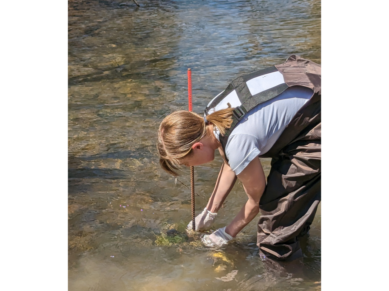 <p>Pollutants known as “contaminants of emerging concern” or chemicals that could potentially harm human health and have been found in the environment, including pesticides, ingredients from personal care products, pharmaceuticals and perfluoroalkyl substances (PFAS), are increasingly found in streams and lakes. A team led by researchers at Penn State recently demonstrated the accuracy and utility of a new method to find even very low levels of these substances in surface waters. They reported their findings in the Science of the Total Environment.</p>