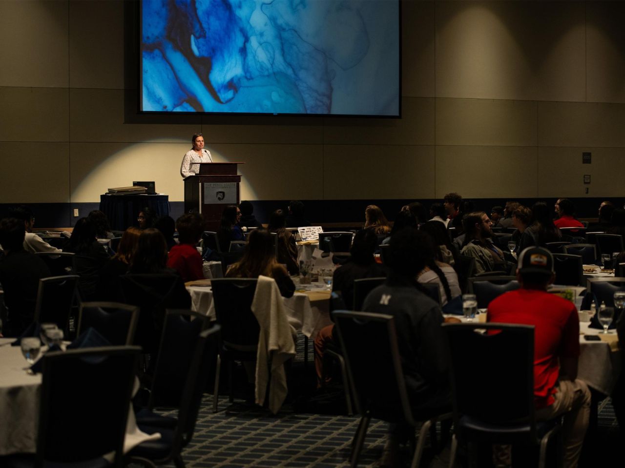 <p>The Engineering Ambassadors Network recently held a three-day-long Spring Leadership Conference at the Penn Stater Hotel and Conference Center.</p>