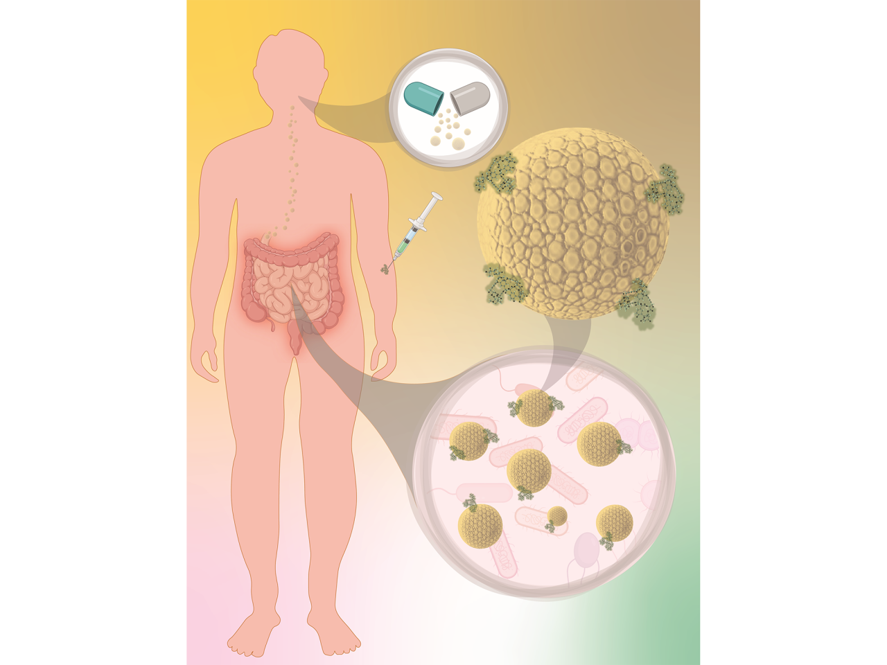 <p>Increased antibiotic use can lead, seemingly paradoxically, to more problematic infections, as the bacteria evolve to resist the treatment. The answer to this antimicrobial resistance, which the Centers for Disease Control and Prevention called “one of the world’s most urgent public health problems,” might be a medication used for kidney disease, according to a team led by researchers at Penn State.</p>