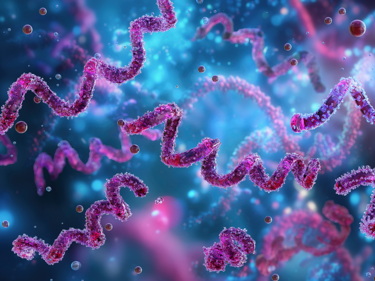 <p>With a four-year, $2.7 million grant from the National Institutes of Health’s National Institute of Allergy and Infectious Diseases, Penn State Professor Dipanjan Pan will lead a team in developing a one-step confirmatory laboratory test that can definitively diagnose active syphilis infection within 10 minutes.</p>