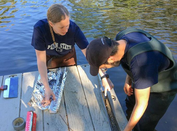 <p>Microplastics have been steadily increasing in freshwater environments for decades and are directly tied to rising global plastic production since the 1950s, according to a new study by an interdisciplinary team of Penn State researchers.</p>