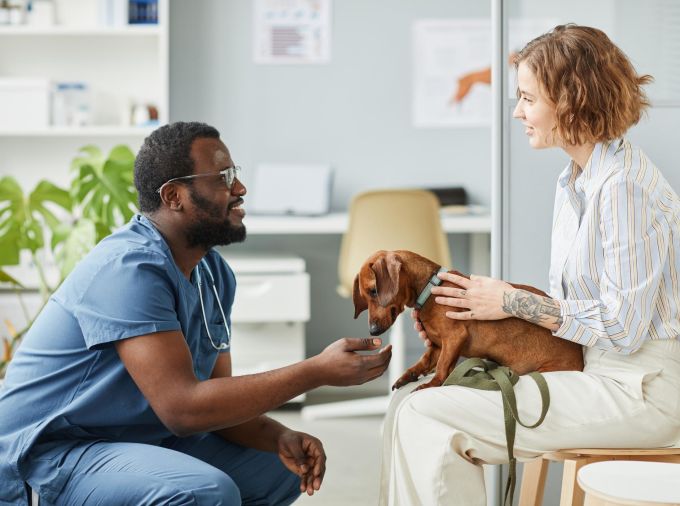 <p>A team of researchers from Penn State have found that household dogs are an overlooked transmission point for Salmonella, a pathogen that can cause diarrhea, fever and abdominal cramps, with some infections potentially having life-threatening complications. However, they said, better awareness of the risk and proper hygiene could potentially help mitigate cross-species infections.</p>
<p> </p>