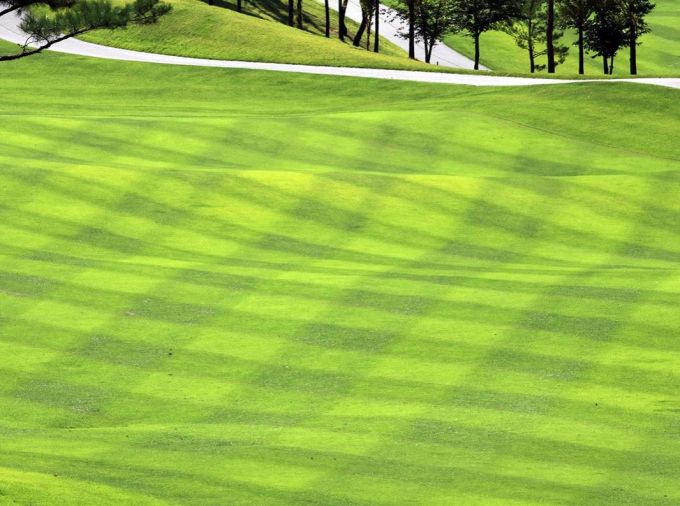 <p>Data that has been lost in the weeds — or more accurately the turfgrass — could help improve estimates of carbon dioxide emissions from urban areas, according to a team led by scientists at Penn State.</p>
