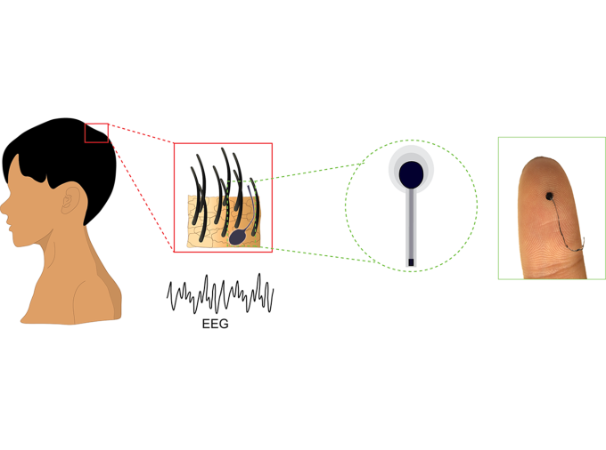 <p>A team of researchers from Penn State created a hairlike device for long-term, non-invasive monitoring of the brain’s electrical activity. The lightweight and flexible electrode attaches directly to the scalp and delivers stable, high-quality electroencephalography recordings.</p>
